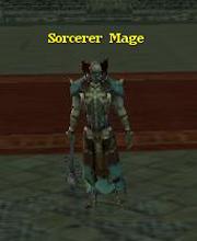 Sorcerer Mage